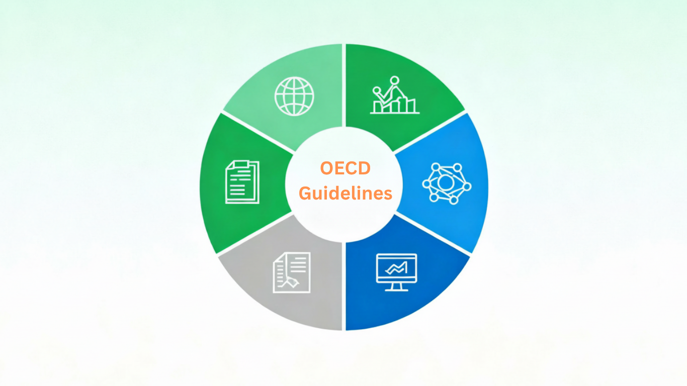 OECD Guidelines Implementation Business Framework 2025 showing key pillars of responsible business conduct