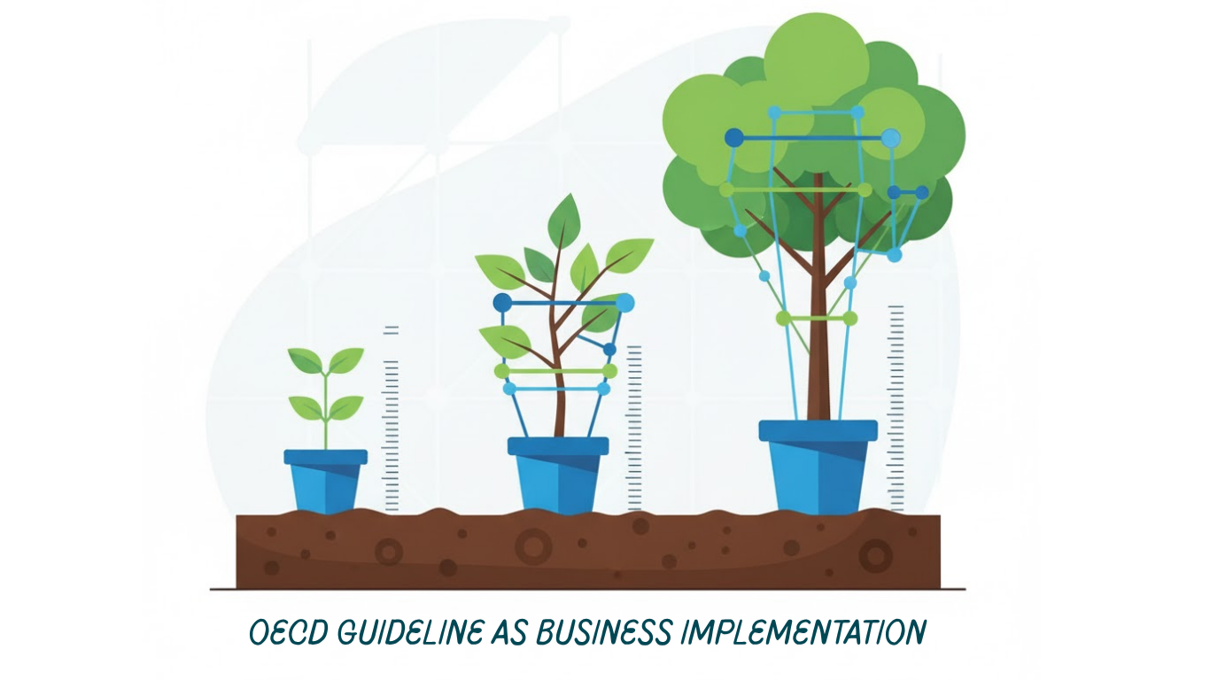 Scalable SME implementation approach for OECD Guidelines showing phased methodology suitable for smaller organizations